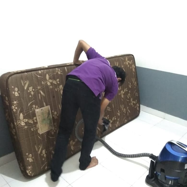 vacuum tungau Gresik